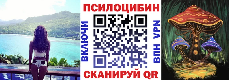 Псилоцибиновые грибы Cubensis  Находка 