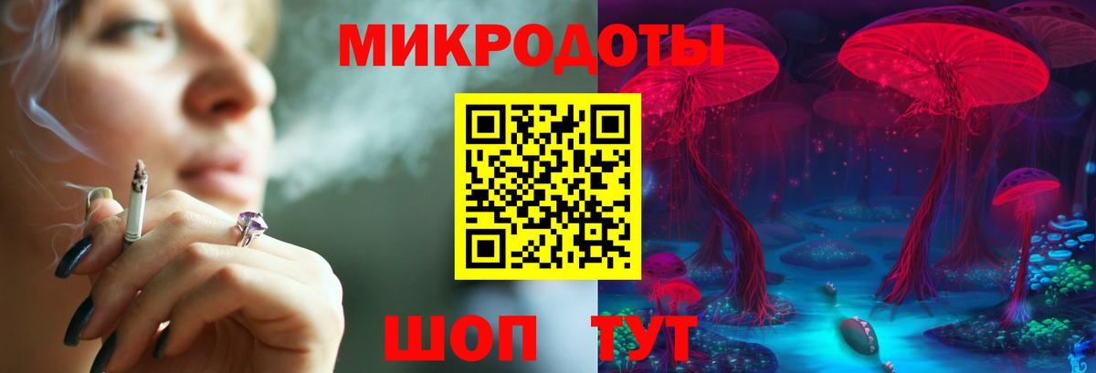 Находка  Псилоцибиновые грибы прущие грибы  Вход с VPN 