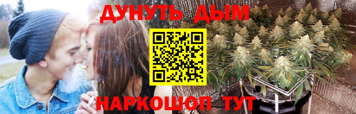 МАРИХУАНА Amnesia Находка